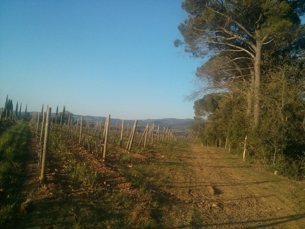 Argiano Dimore Wine Relais Bagian luar foto