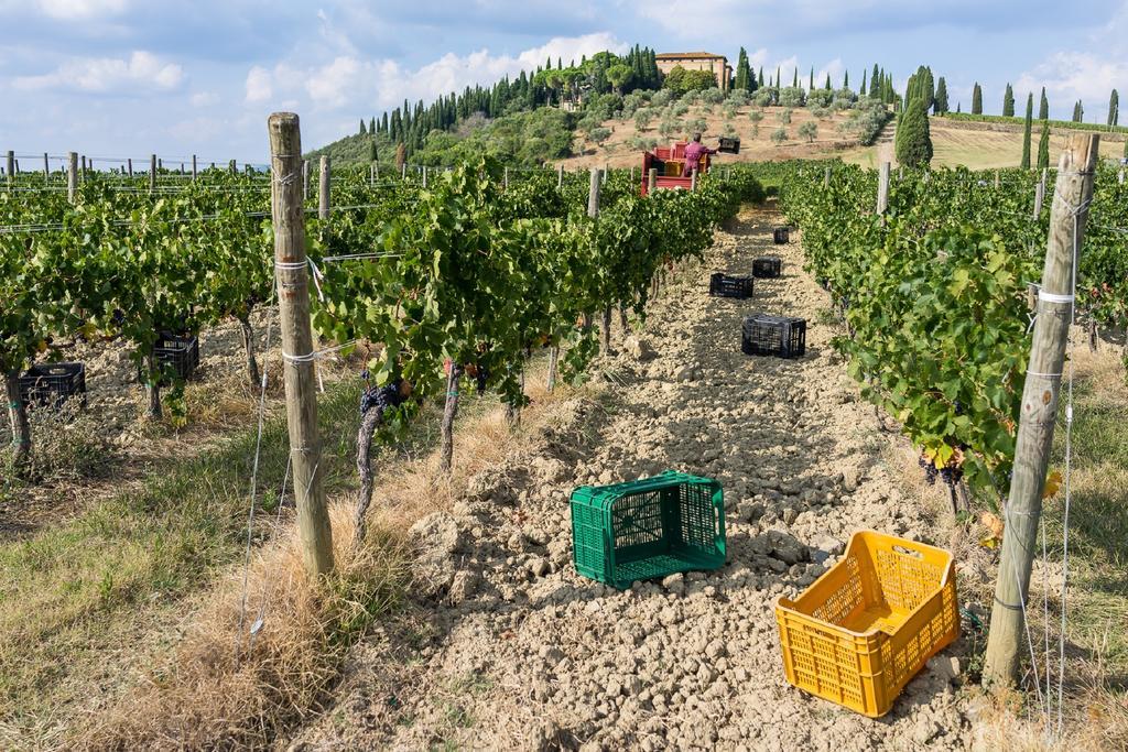 Argiano Dimore Wine Relais Bagian luar foto