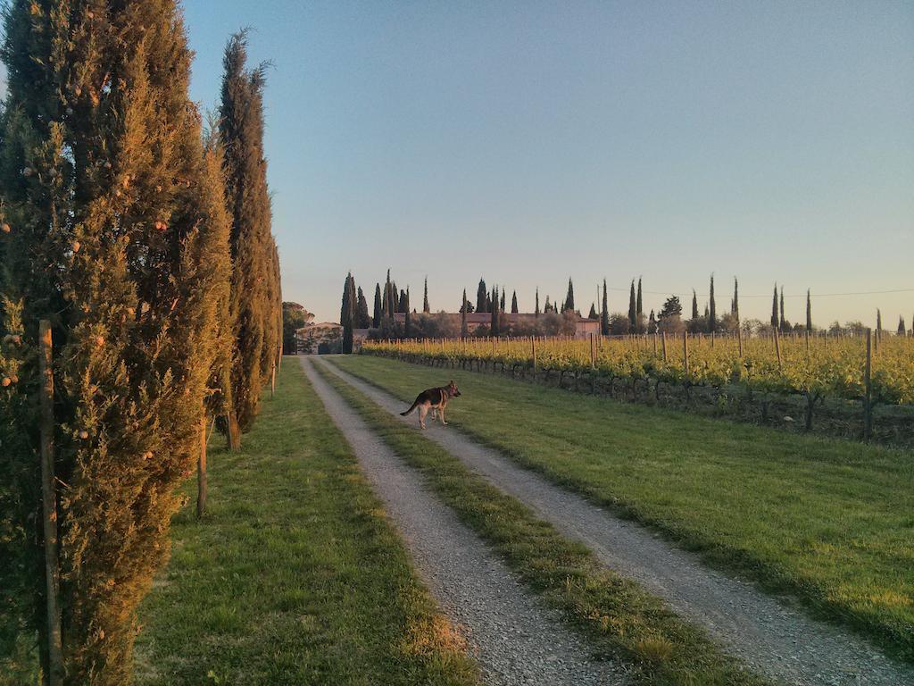 Argiano Dimore Wine Relais Bagian luar foto
